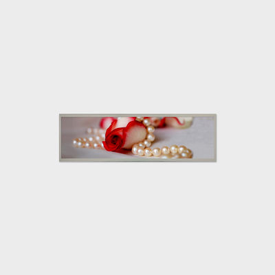 19.4 Inch Bar LCD Panel 1920*510 LVDS 1000 Nits Screen สําหรับป้ายพาณิชย์