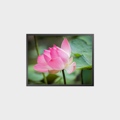 34.3 นิ้ว ตาราง LCD Panel 1856 * 1420 1500 Nits โมดูลจอ LCD