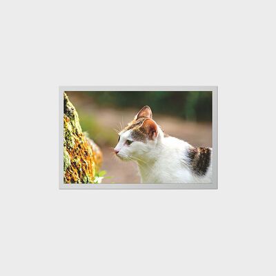 จอแสดงผล TFT ขนาด 12.1 นิ้วพร้อมจอ LCD ที่ใช้พลังงานต่ำสำหรับอุปกรณ์การแพทย์แบบพกพา