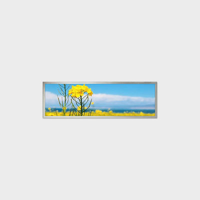 19.4 นิ้ว Bar Type LCD Display 1920*510 LVDS 500 นิต