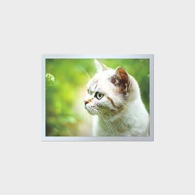 LCD ความสว่างสูง TFT อายุการใช้งานยาวนาน 15 นิ้วสำหรับแผงหน้าปัดอุตสาหกรรม