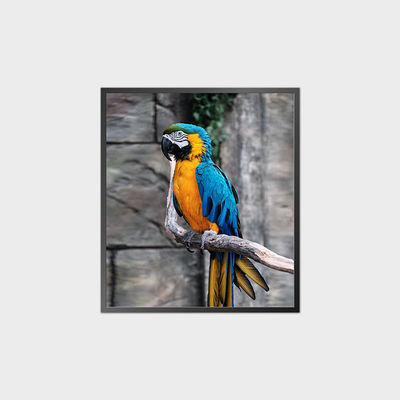 แผน LCD สี่เหลี่ยมความละเอียดสูง 35.6 นิ้ว 950*1080 500nit ด้วยระบบ Android