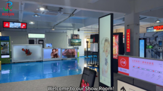 ห้องแสดงของ Rogin - โมดูล LCD Full-HD ขนาดเล็กและขนาดกลาง